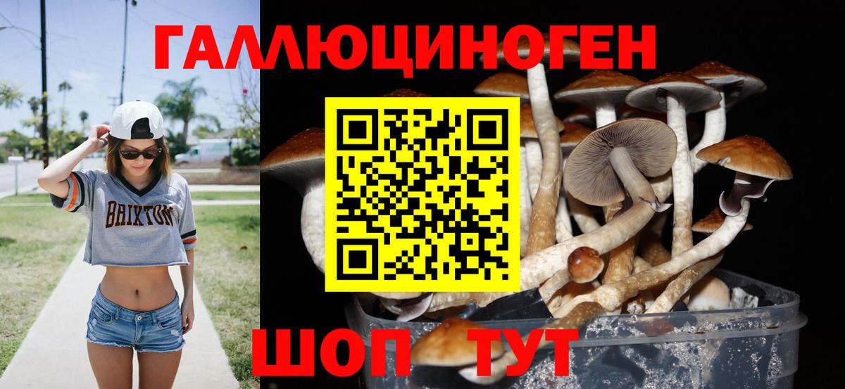Псилоцибиновые грибы Magic Shrooms Арзамас