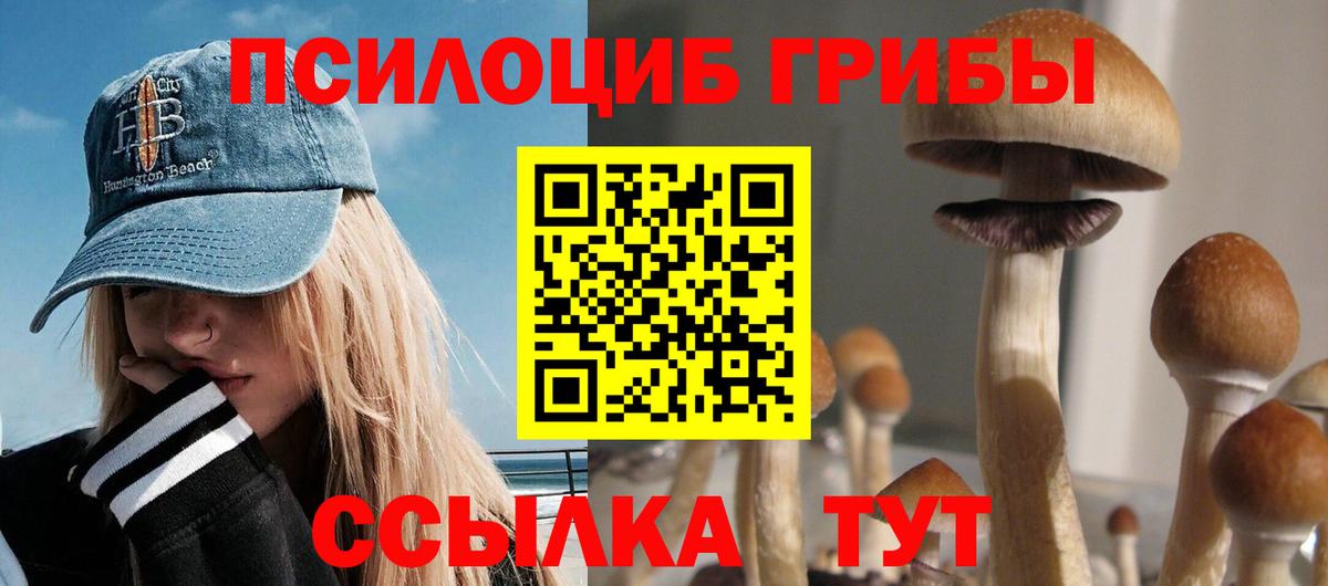 Арзамас  Галлюциногенные грибы мухоморы  Вход с VPN  Псилоцибиновые грибы ЛСД 